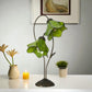 Green stained glass water lily table lamp with multiple flower shades and metal base